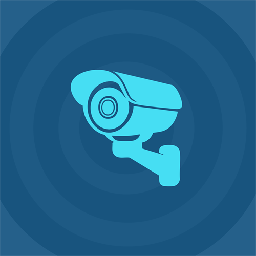 أنظمة الأمان والمراقبة (Security and CCTV)
